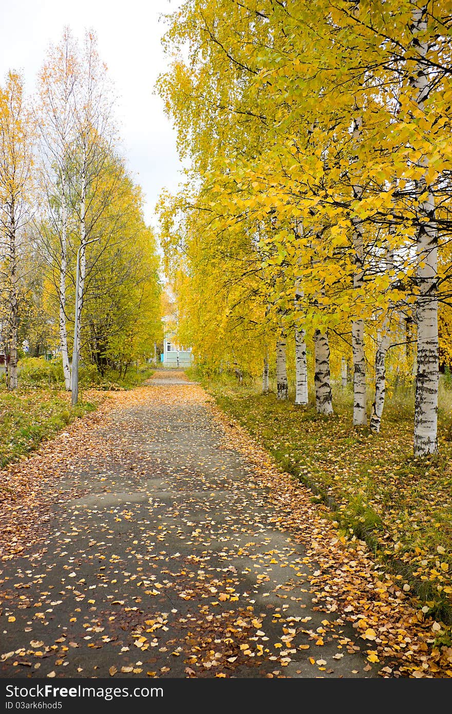 The road to the house in the autumn park