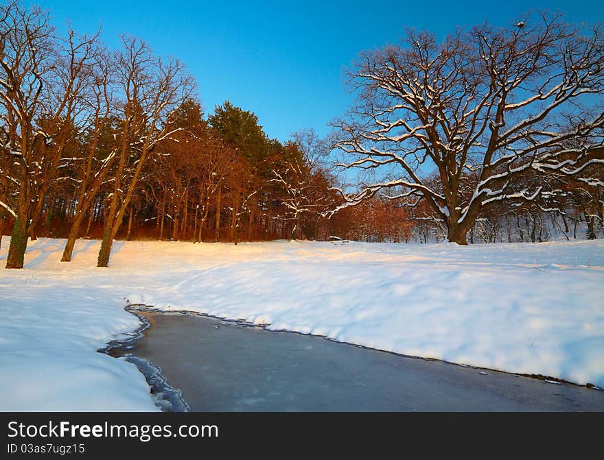 Winter landscape