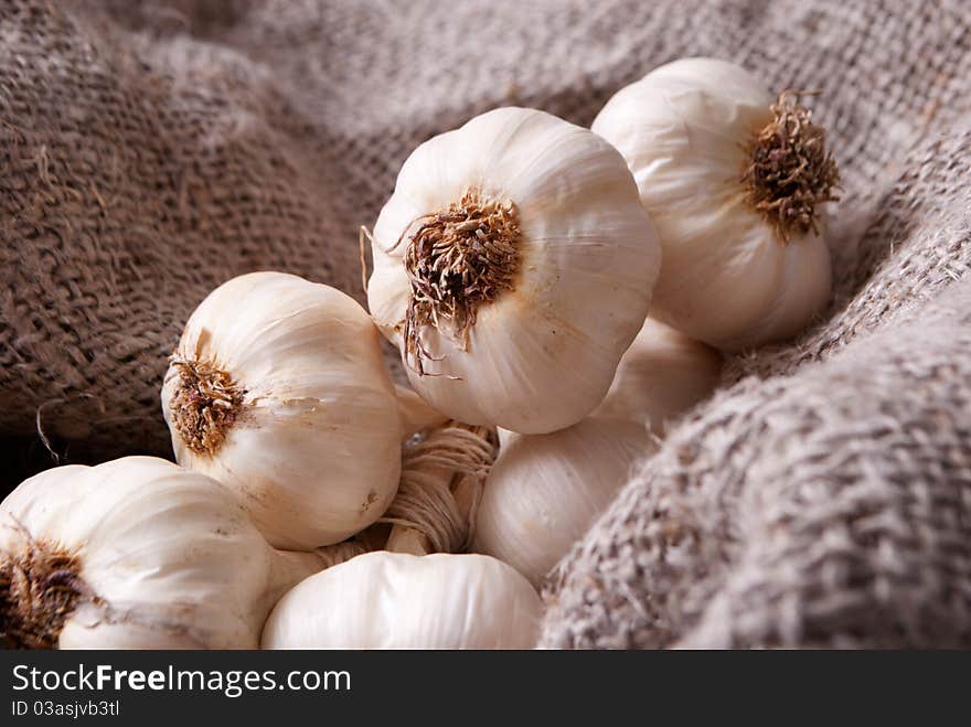 Close up of garlics on flex linen. Close up of garlics on flex linen