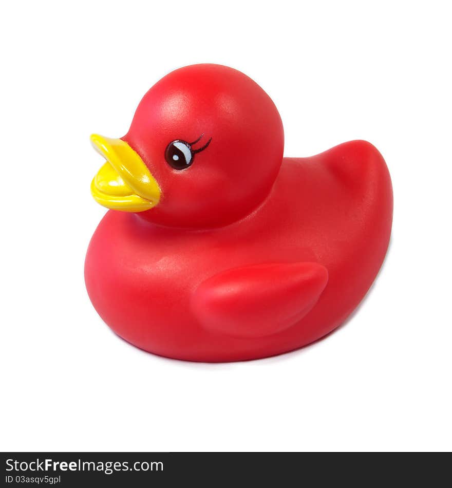 A little red rubber ducky isolated on a white background.