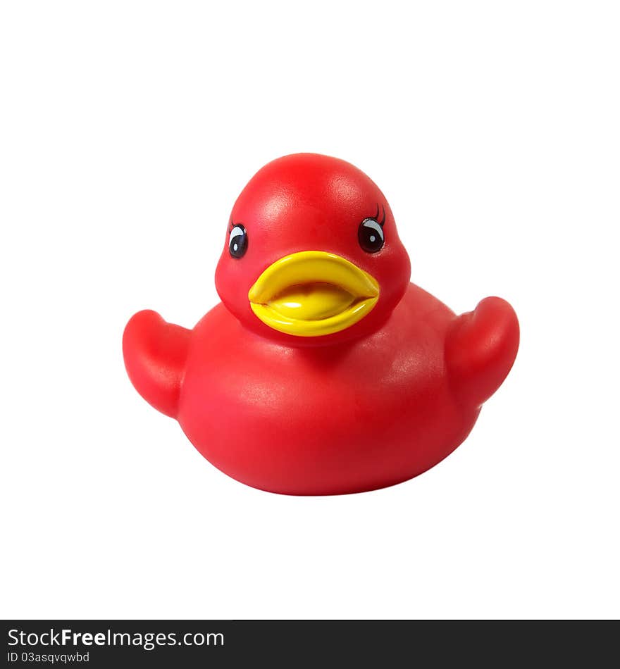 A little red rubber ducky isolated on a white background.