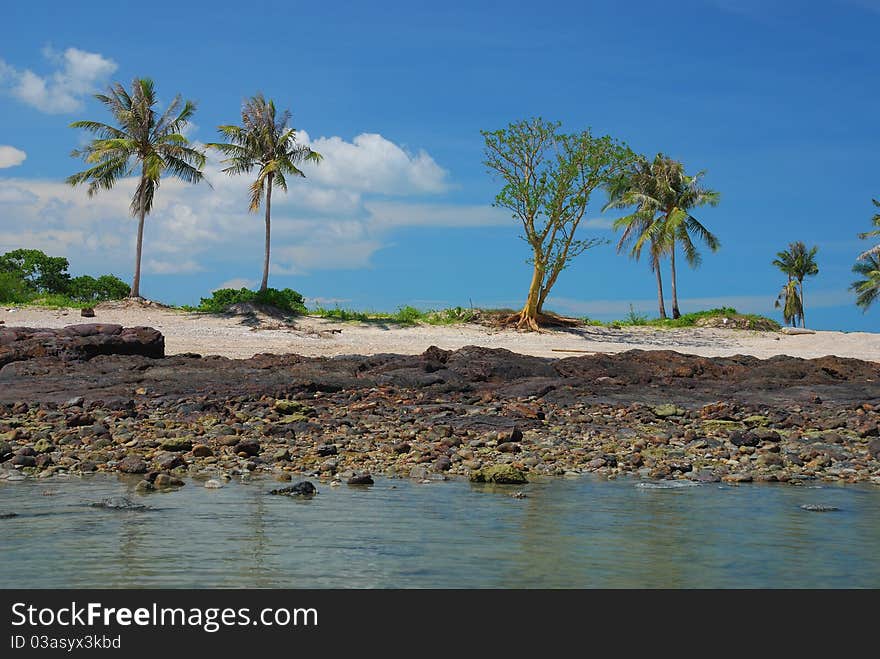 Samui beach