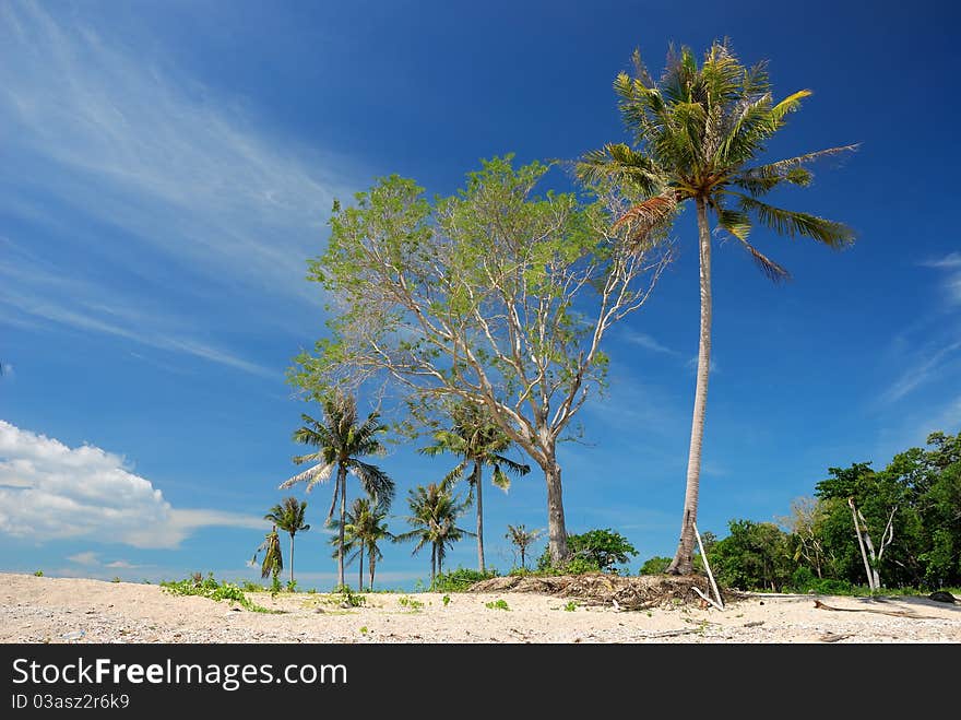 Samui beach