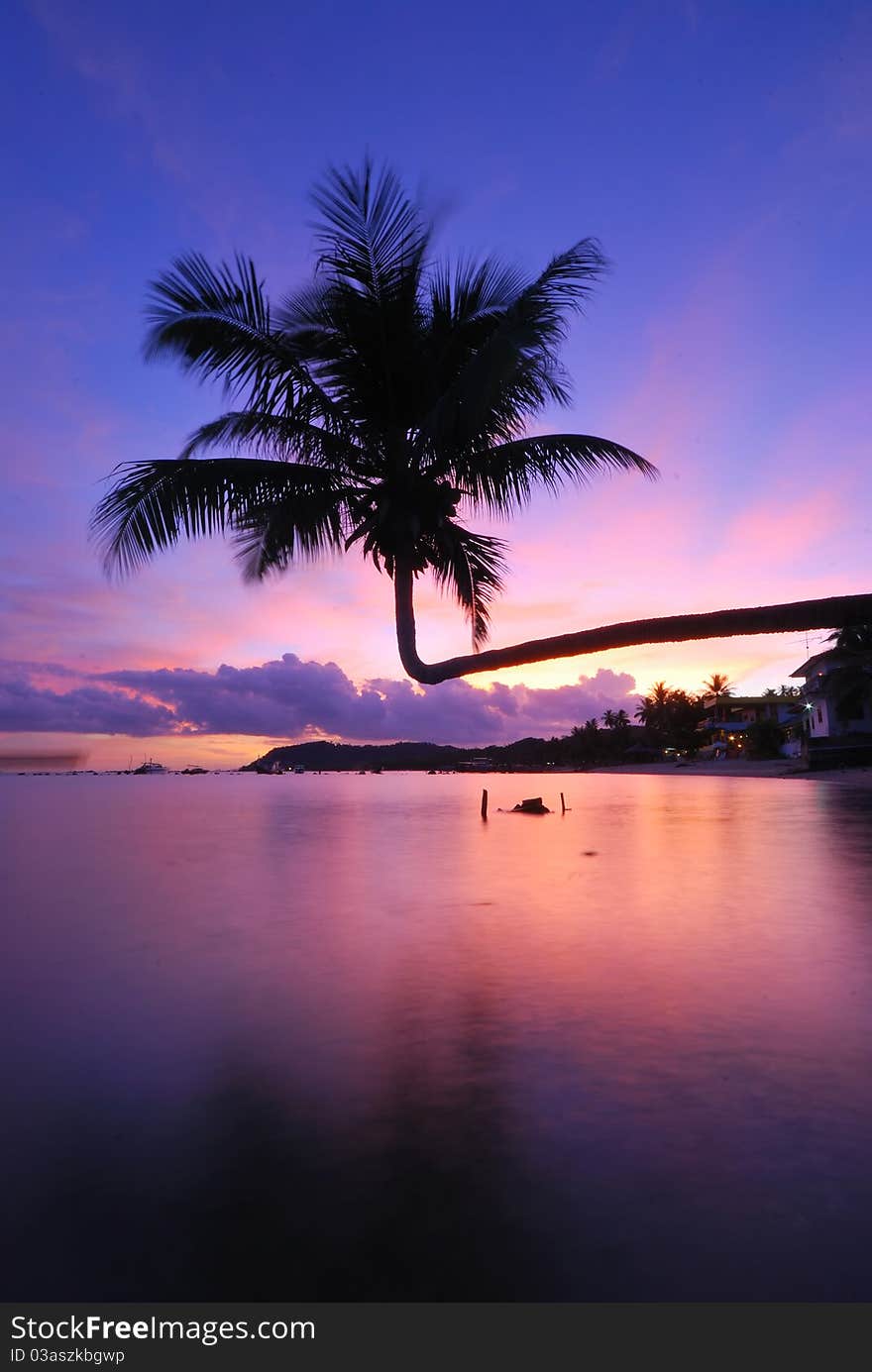 Coconut palm tree twilight at ko samui thailand. Coconut palm tree twilight at ko samui thailand