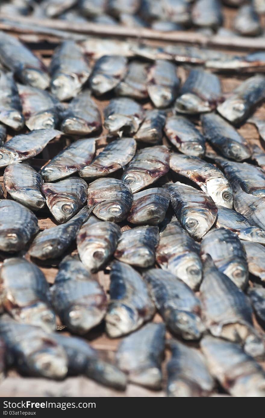 Salted fish drying under sun, Philippines