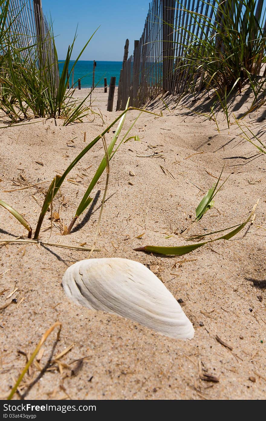 Pathway to the beach in the summer season.