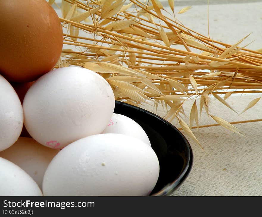 Chicken fresh eggs on the background smell of the field of cereal spikelets