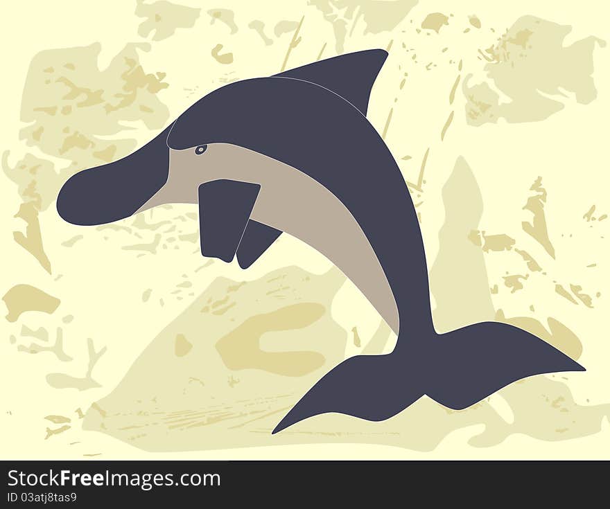 Cute dolphin on grunge background