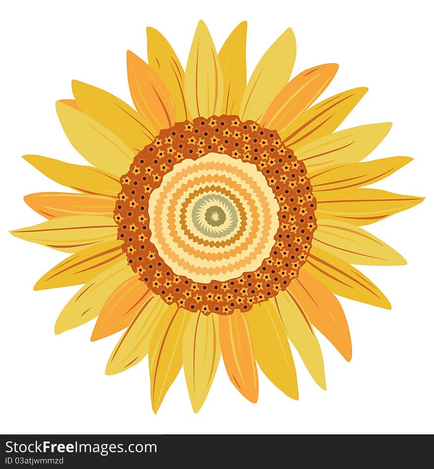 Sunflower