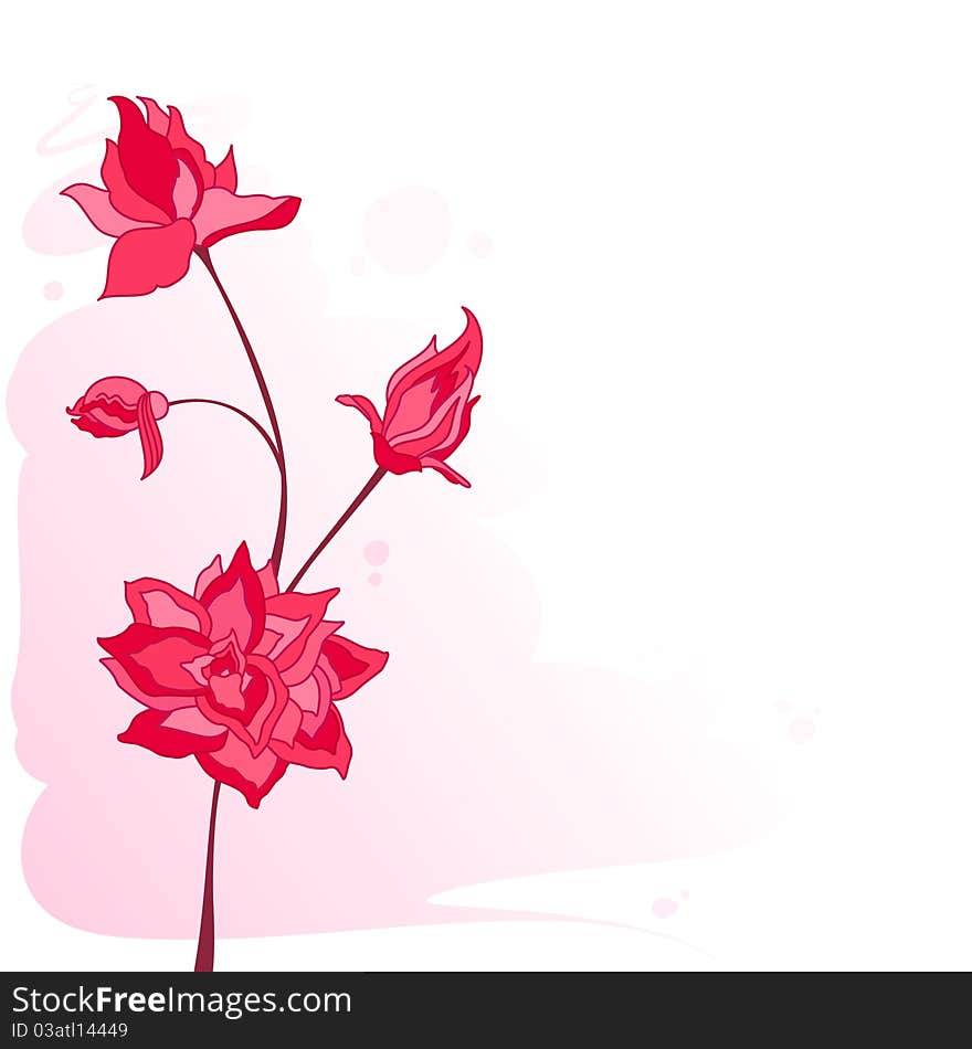 Illustration of pink rose on water colors background