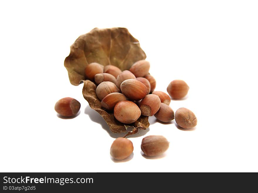 Nuts isolated on a white background