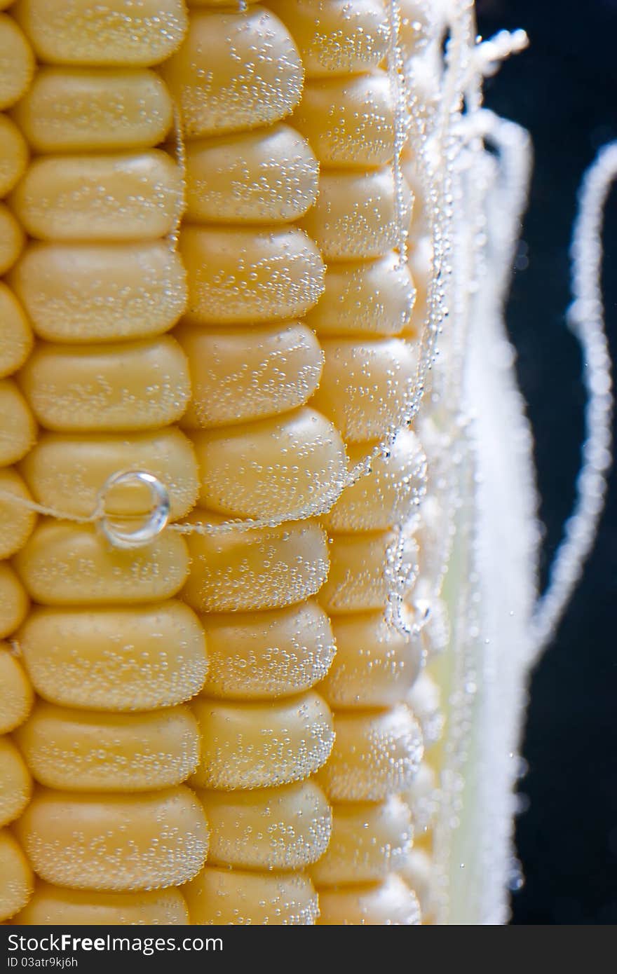 Macro of earcorn in bubbles on black background