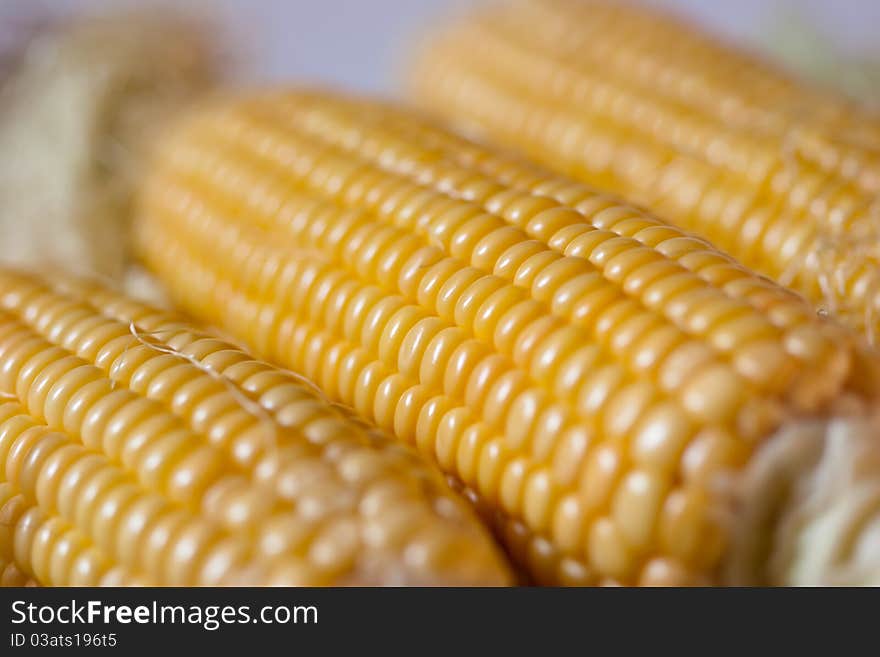 Fresh corn on light background. Fresh corn on light background