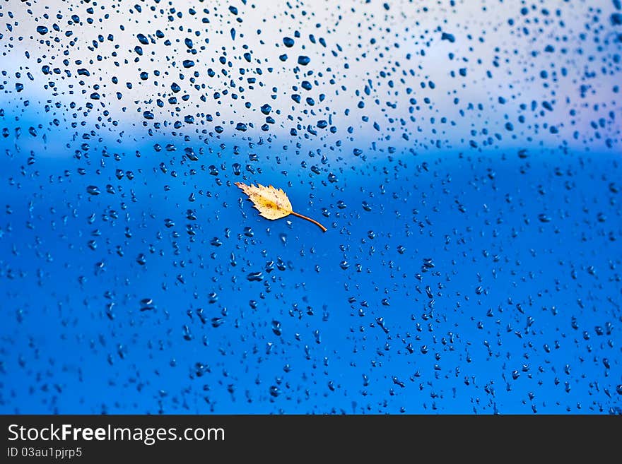 Leaf drop glass autumn sky