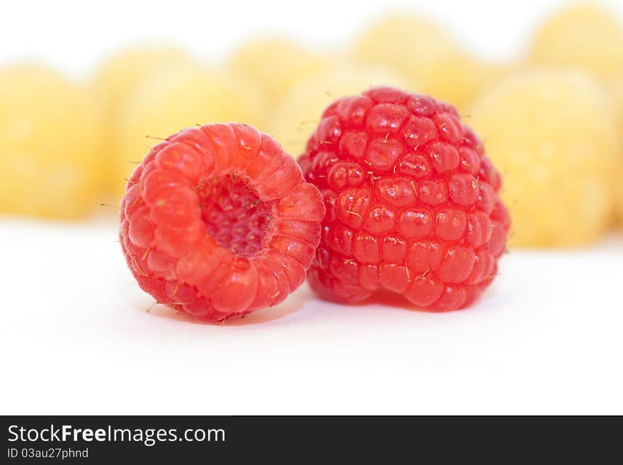 Red Raspberry