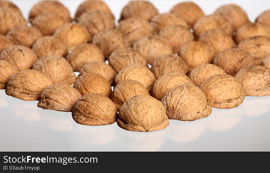 Hill of walnut s nutshells