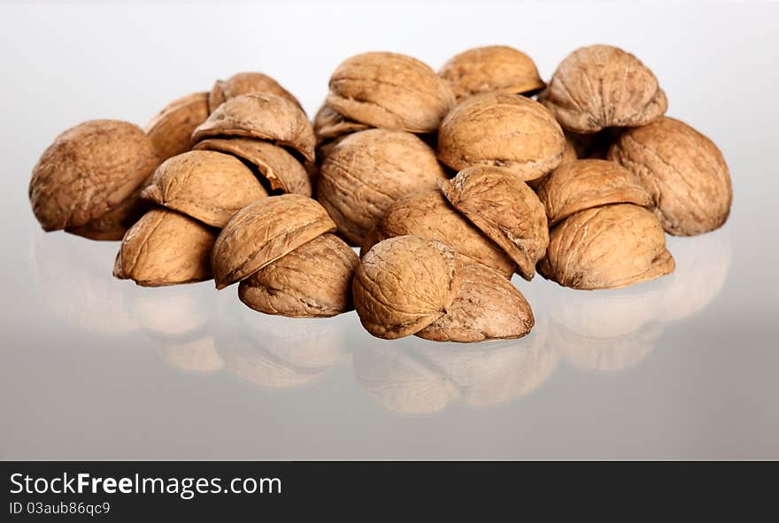 Hill of walnut s nutshells