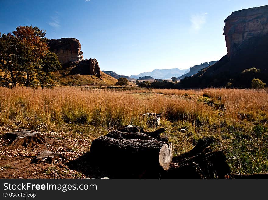 The Drakensberg Mountains in South Africa are impressive. One almost feels like being in Canada, especially when the leaves are brown. The Drakensberg Mountains in South Africa are impressive. One almost feels like being in Canada, especially when the leaves are brown.