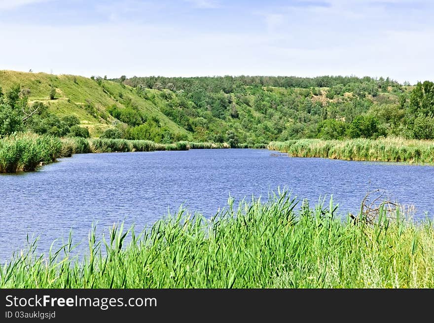 Summer Rural Landscape