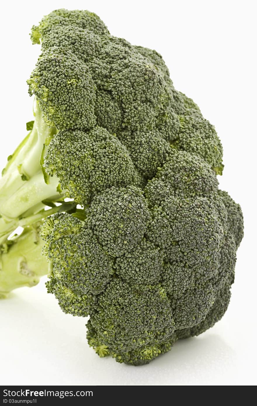 Broccoli