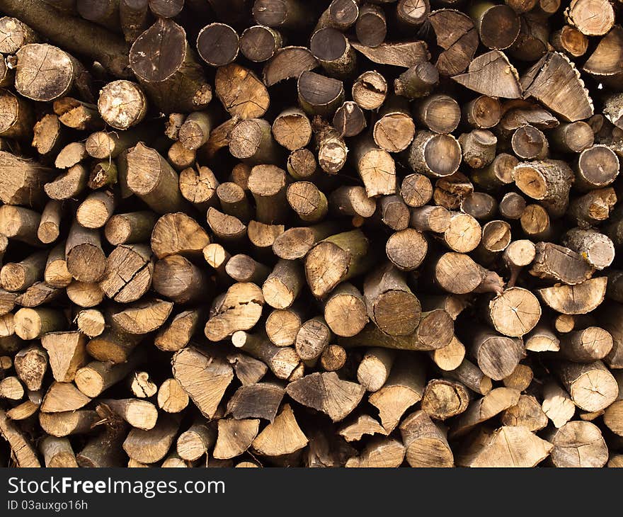 A great pile of wood in the forest. A great pile of wood in the forest