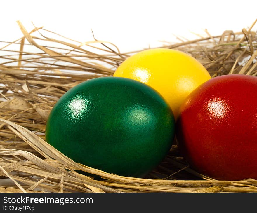 Easter Eggs in a bird's nest waiting for the celebration