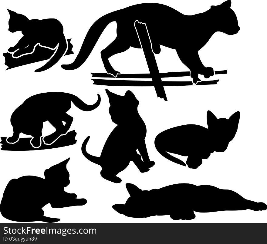 Set of kittens silhouettes in different poses