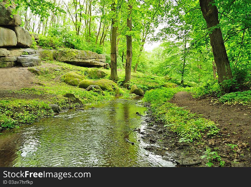 Picturesque bend of the river in an abandoned park. Picturesque bend of the river in an abandoned park