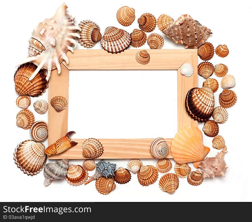 Holiday beach concept with shells