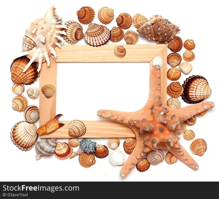 Holiday beach concept with shells, sea stars and blank postcard