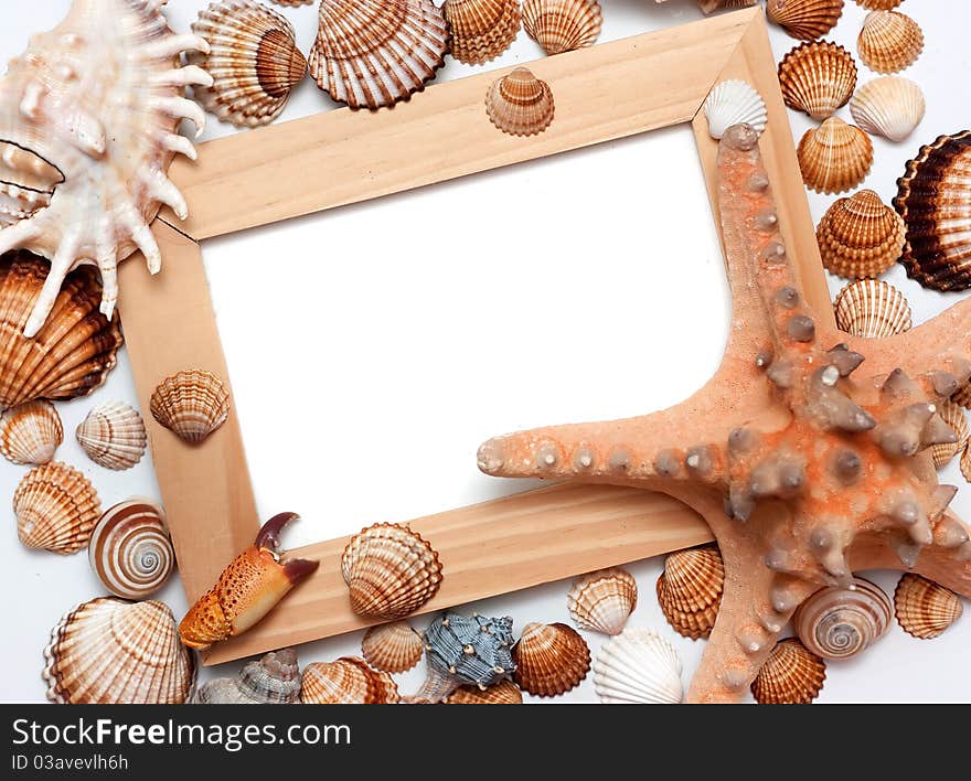 Holiday beach concept with shells, sea stars and blank postcard