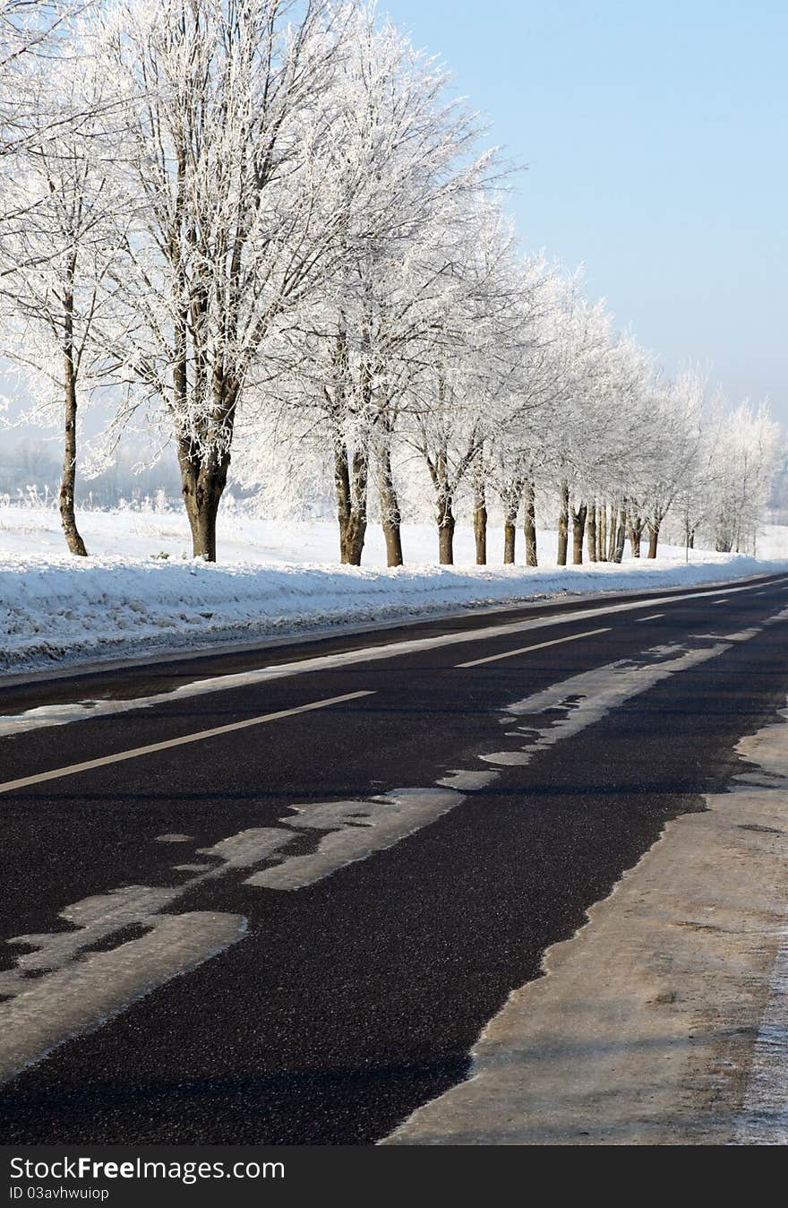 A winter road ,ice and trees