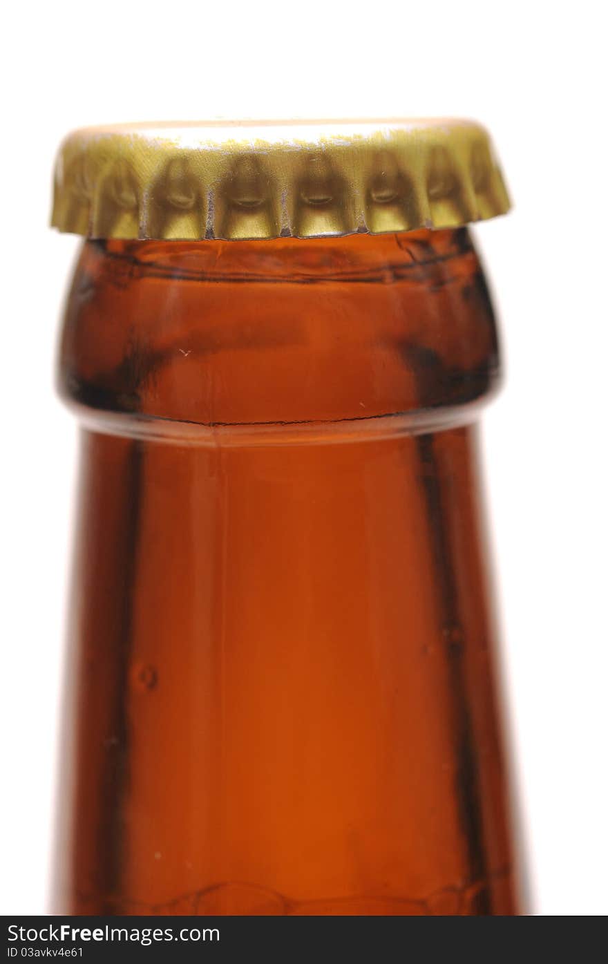 Beer Bottle