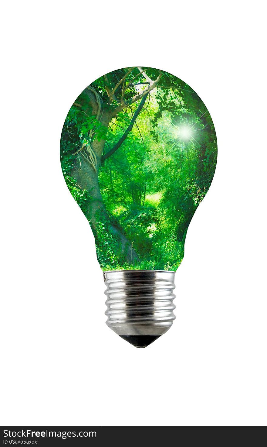 Enchanted Forest Lightbulb