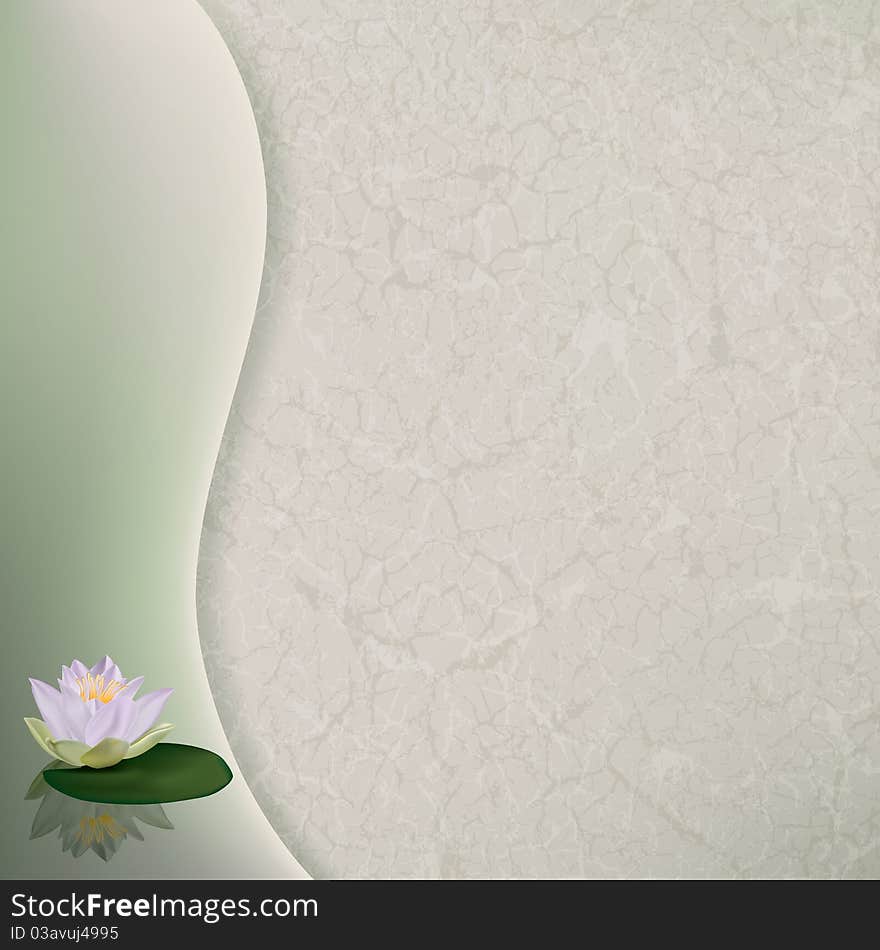 Abstract floral illustration with white lotus on green