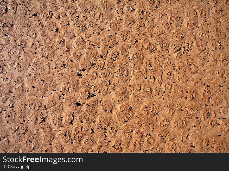 Dry cracked dirt surface of verneukpan, a large saltpan in south africa