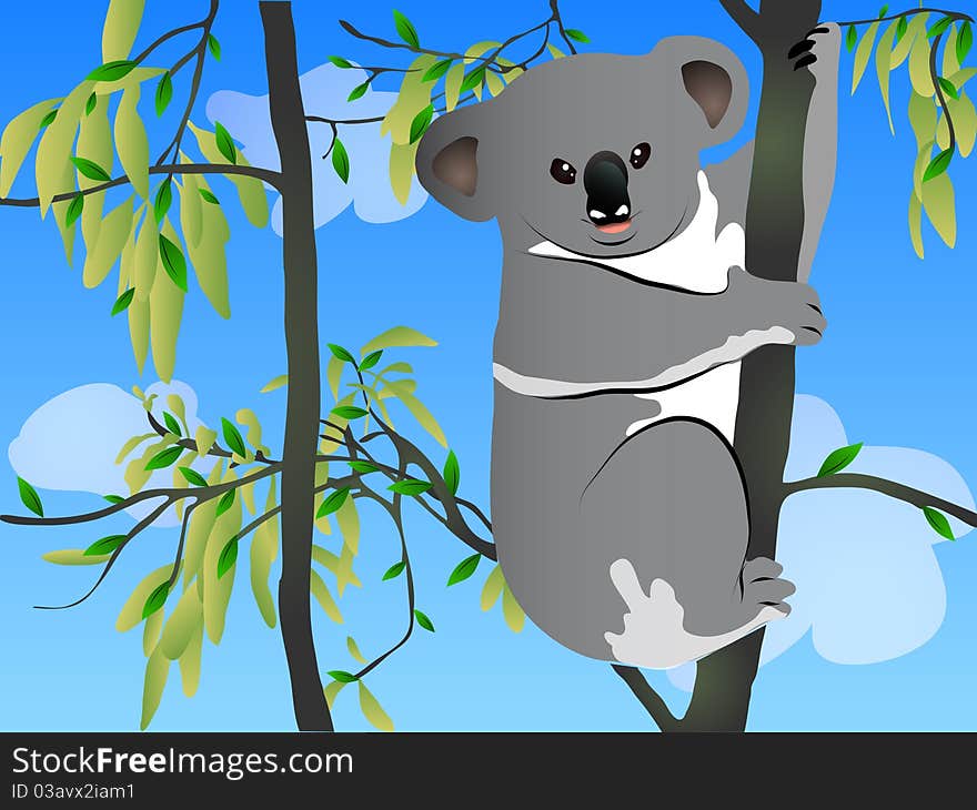 Koala sitting on a eucalyptus tree