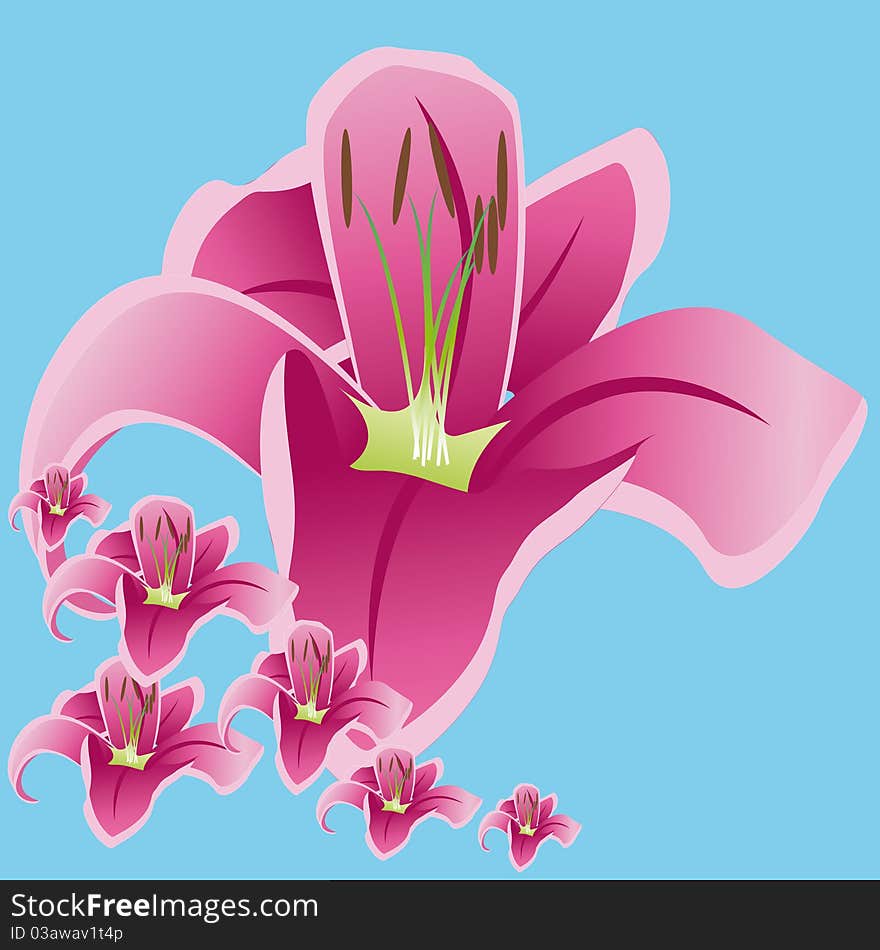 Spring background witn pink lily. Spring background witn pink lily