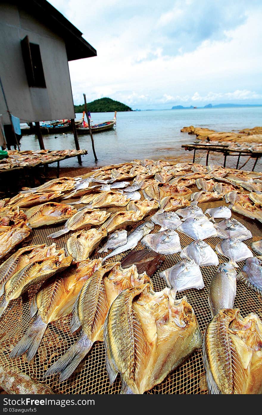 Dried Fish on The Net. The image was made from a fishing village near Phuket. In Koh Lanta