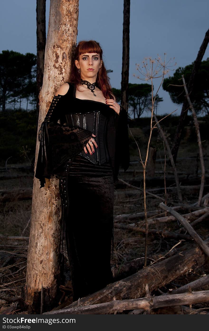 Dark gothic woman with dark clothes posing on the night forest. Dark gothic woman with dark clothes posing on the night forest.