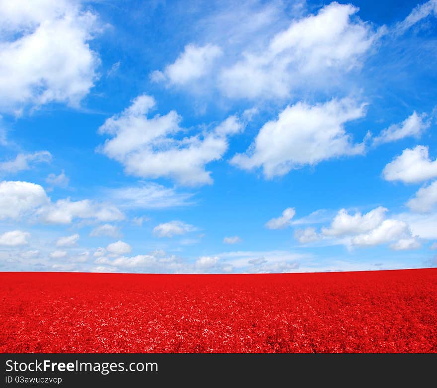 Landscape - meadow over blue sky with white clouds