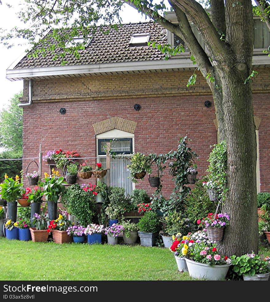 beautiful flower garden with a lot of pots