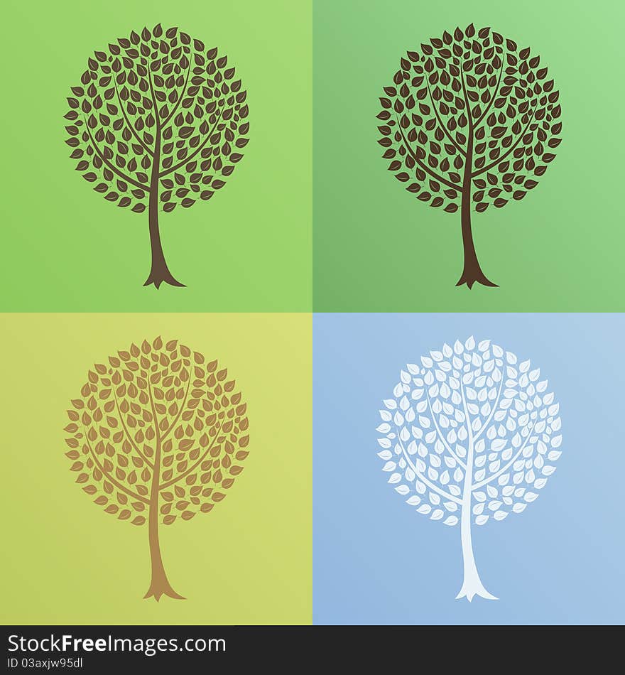 Tree at various times year. A illustration. Tree at various times year. A illustration