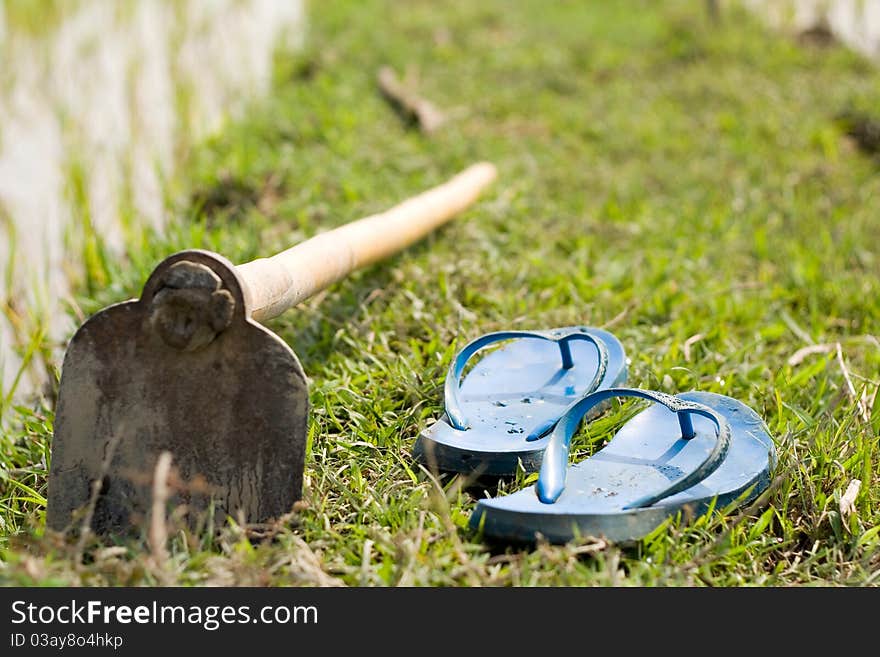 Shovel with shoes