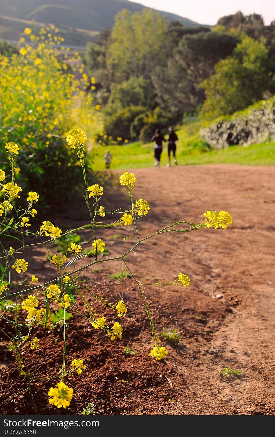 Hiking in the Morning