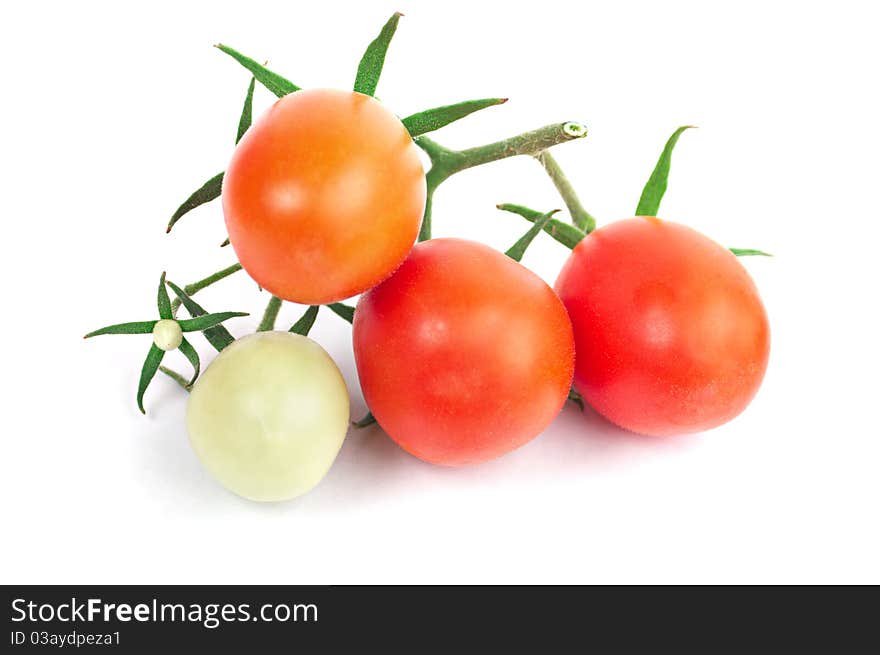 Juicy Perfect Tomatoes