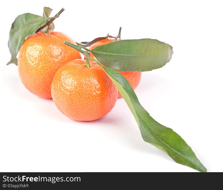 Three tangerines with green leaves