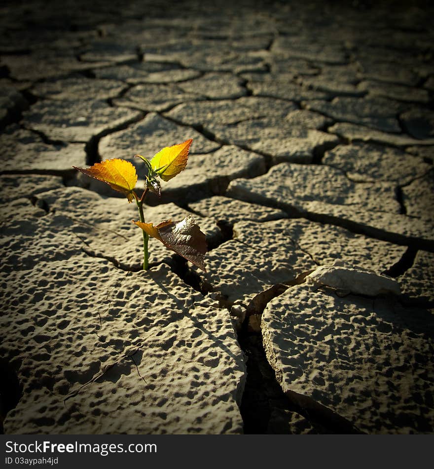 Cracked by the heat long lifeless soil. Cracked by the heat long lifeless soil