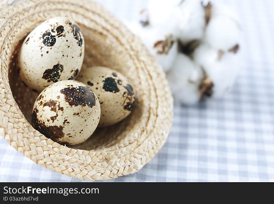 Quail eggs