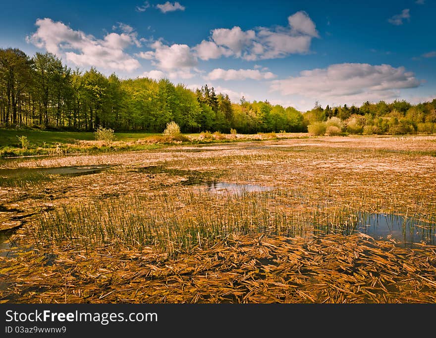 Lake in  park on sunny day, Ireland